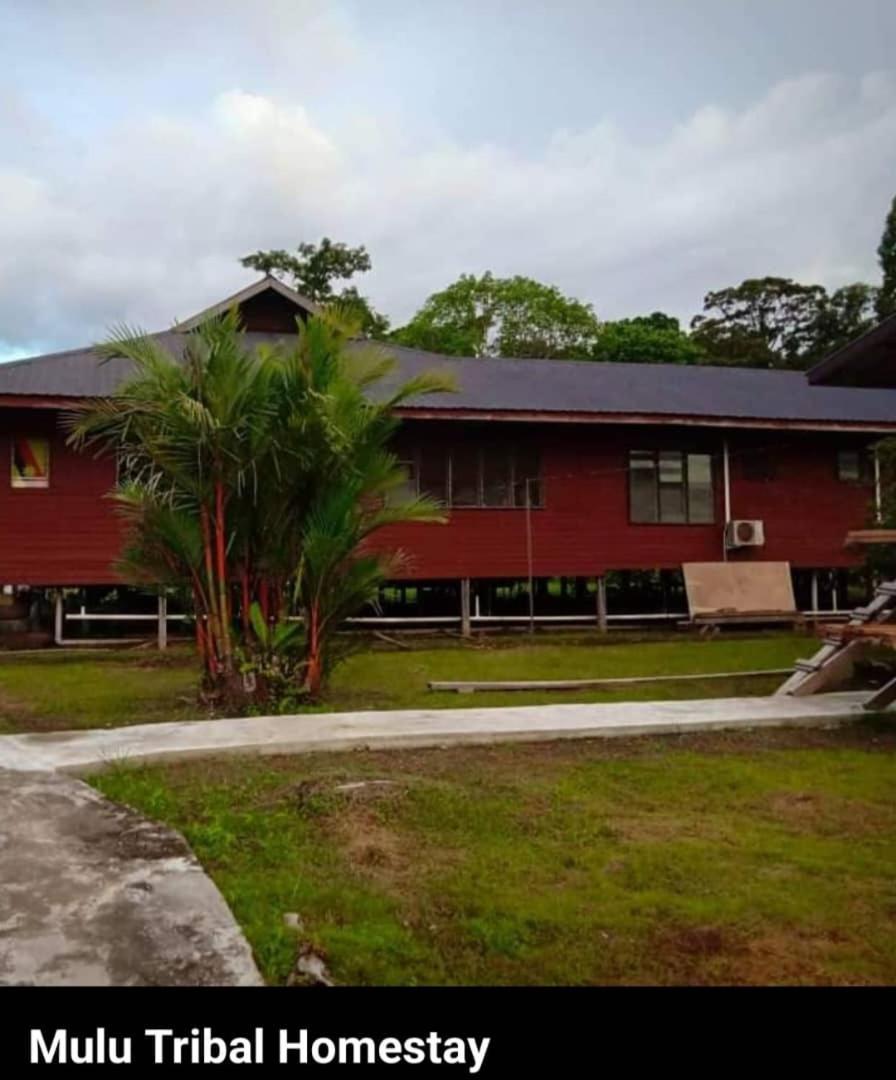 Mulu Tribal Homestay Exterior foto
